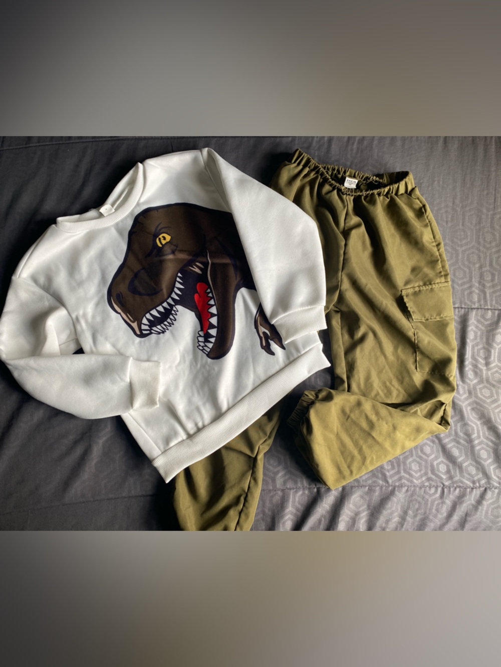 Kids Dinosaur Graphic Sweatshirt and Olive Cargo Joggers Set